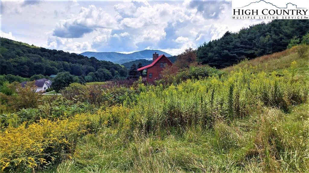 Image number 12 for the current listing