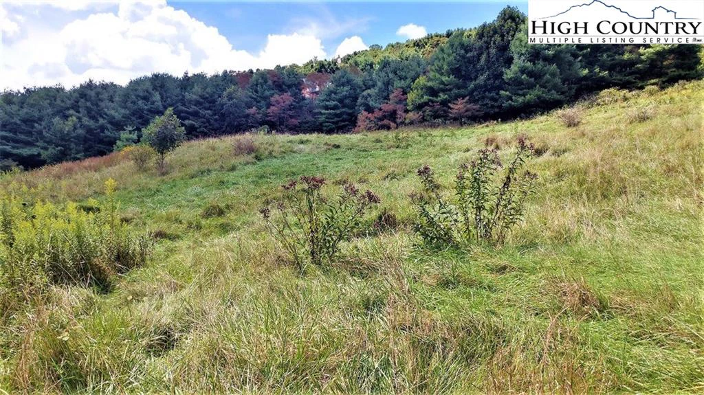 Image number 13 for the current listing