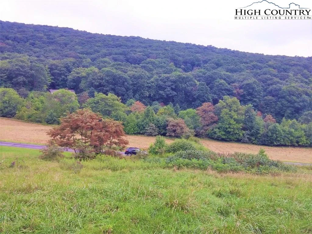 Image number 4 for the current listing