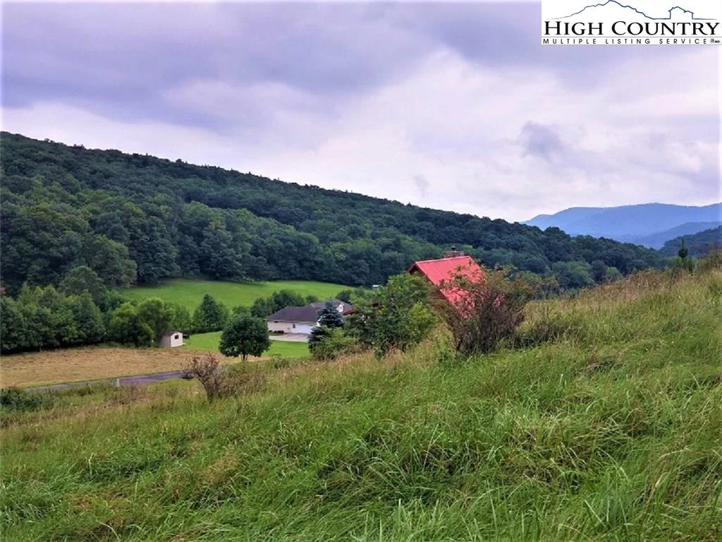 Image number 5 for the current listing