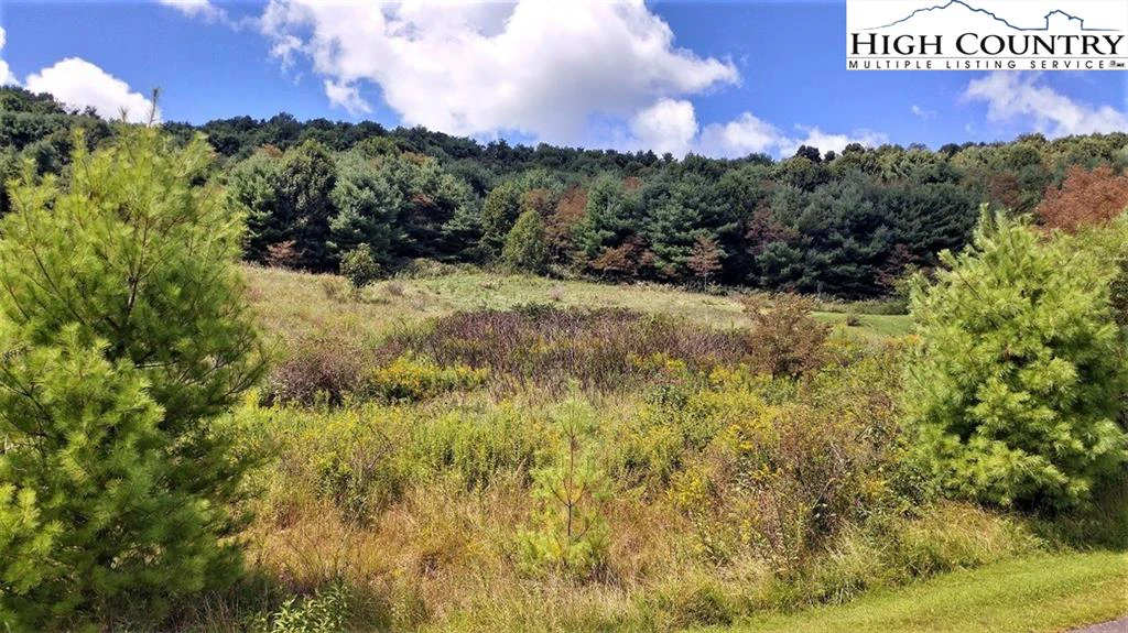 Image number 9 for the current listing