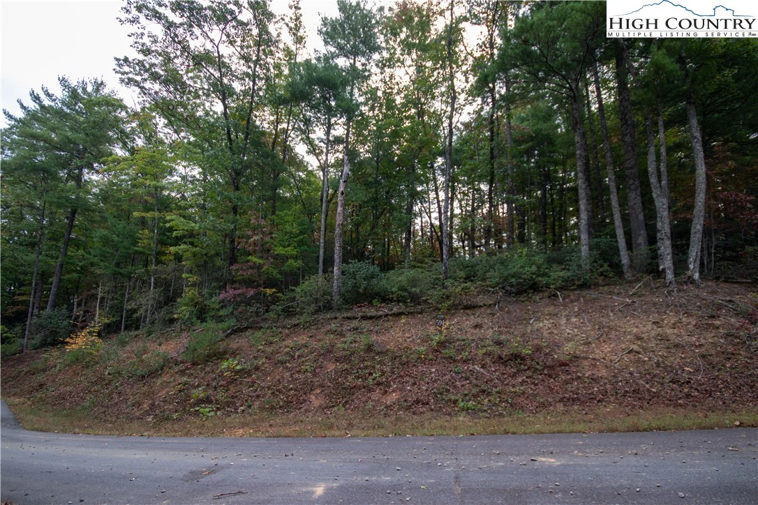 Image number 1 for the current listing