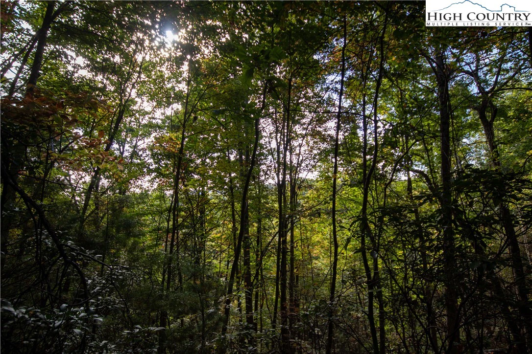 Image number 31 for the current listing