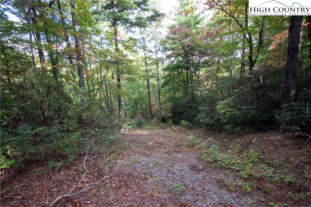 Image number 13 for the current listing