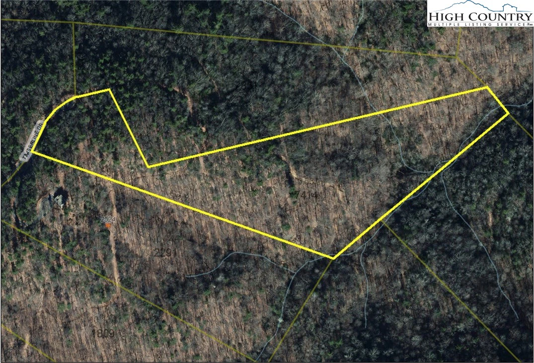 Image number 3 for the current listing
