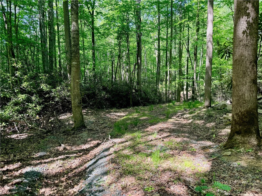 Image number 2 for the current listing