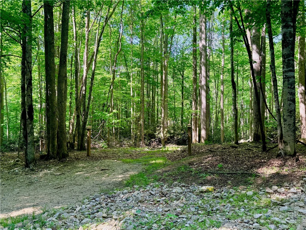 Image number 3 for the current listing