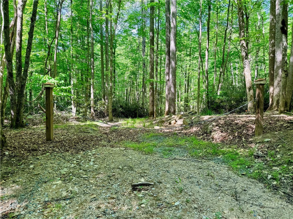 Image number 4 for the current listing