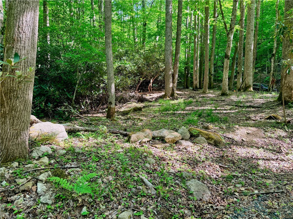 Image number 7 for the current listing