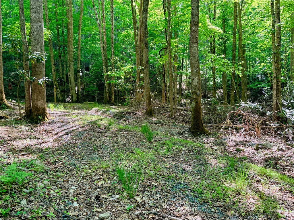 Image number 8 for the current listing