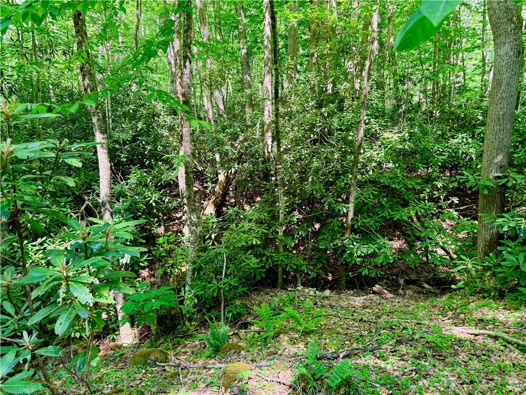 Image number 11 for the current listing