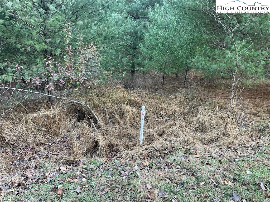 Image number 1 for the current listing