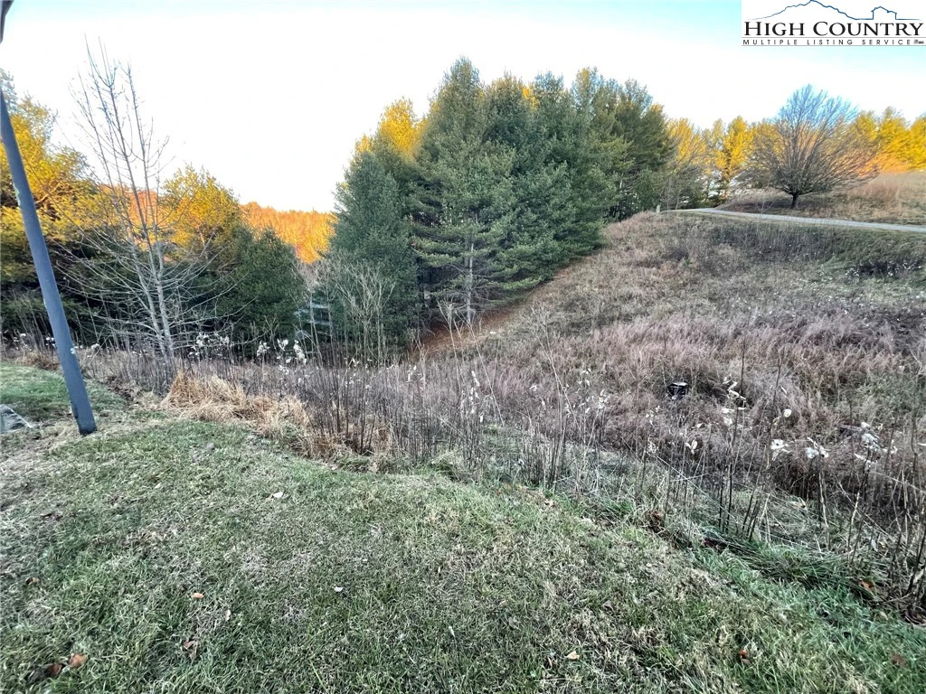 Image number 3 for the current listing