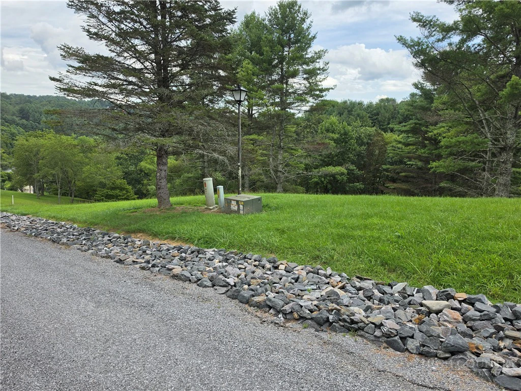 Image number 2 for the current listing