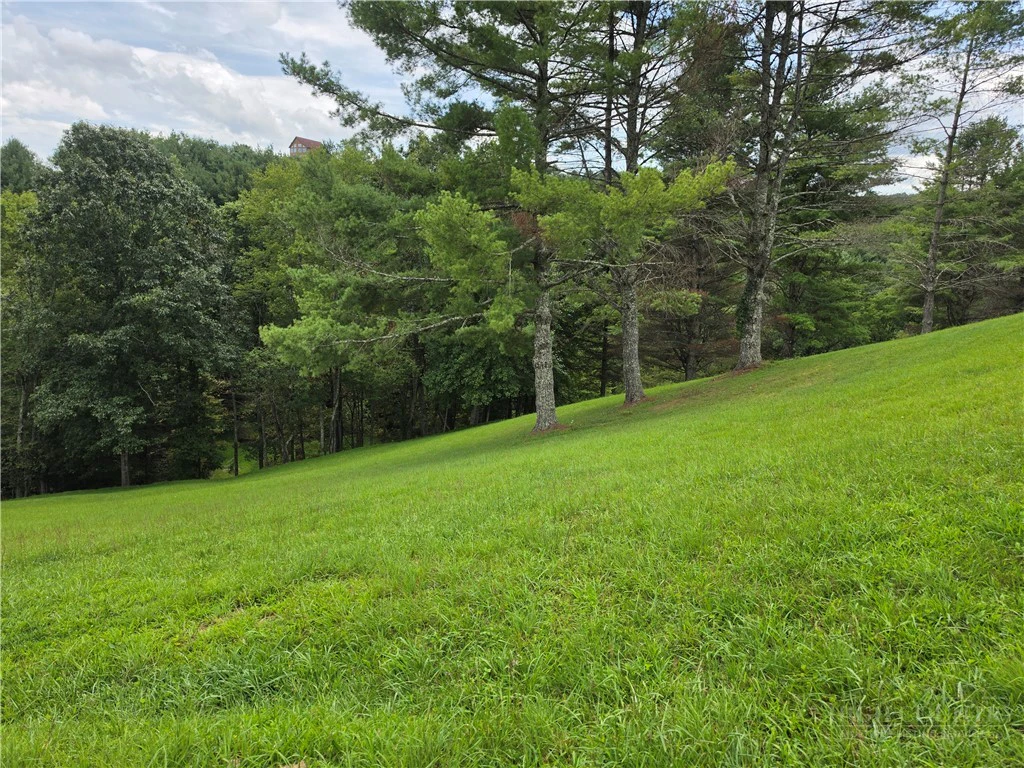 Image number 3 for the current listing