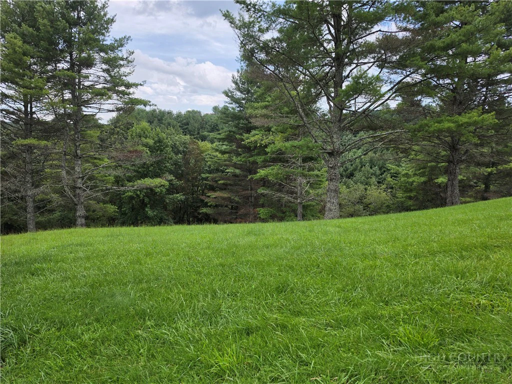 Image number 4 for the current listing