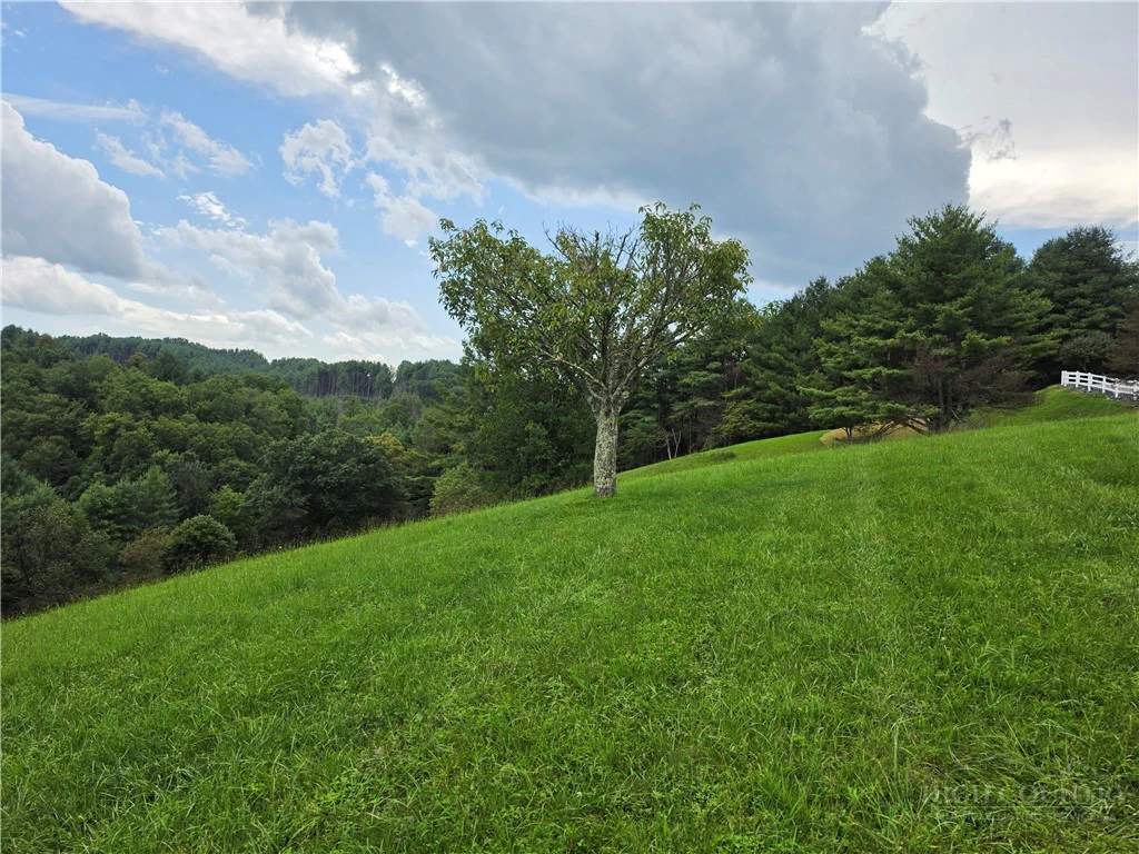 Image number 5 for the current listing