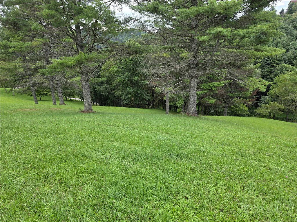Image number 6 for the current listing
