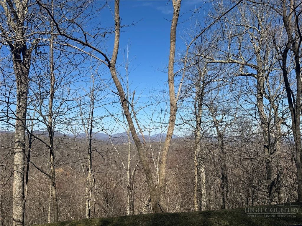 Image number 2 for the current listing
