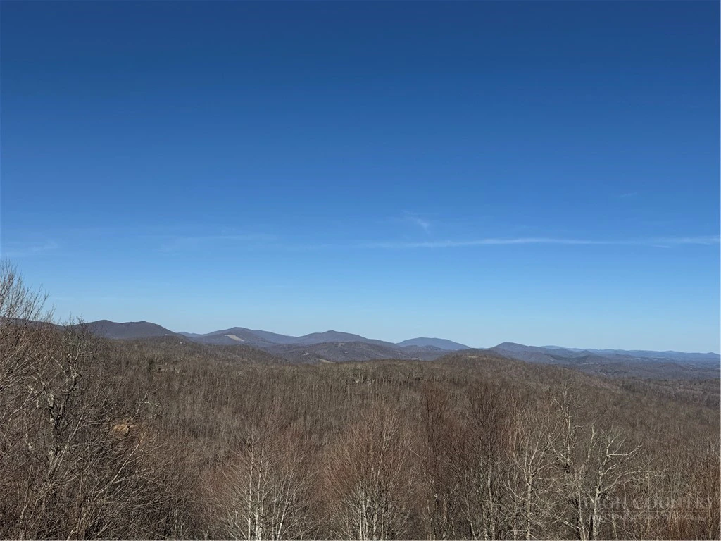 Image number 14 for the current listing