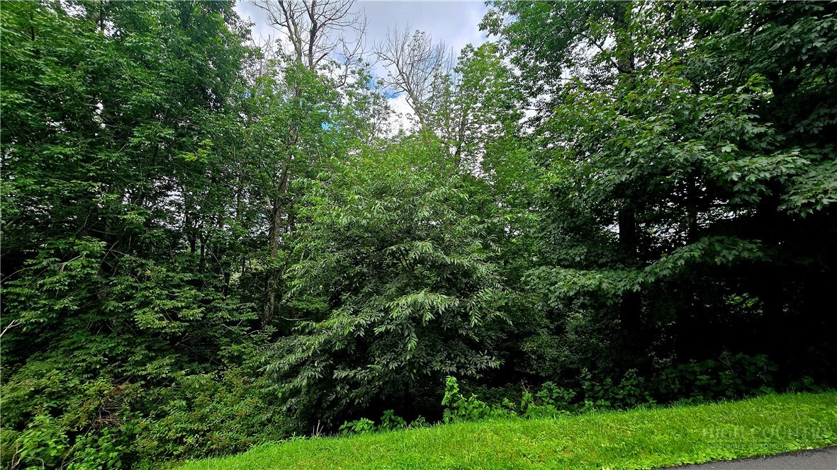 Image number 1 for the current listing