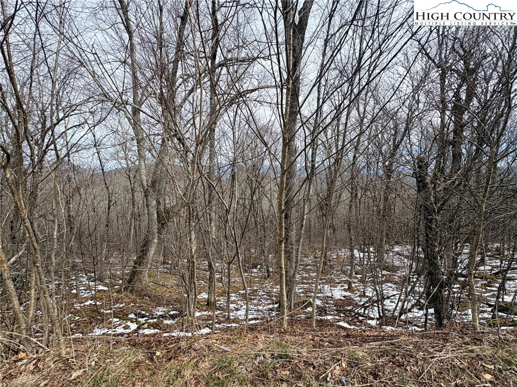 Image number 5 for the current listing