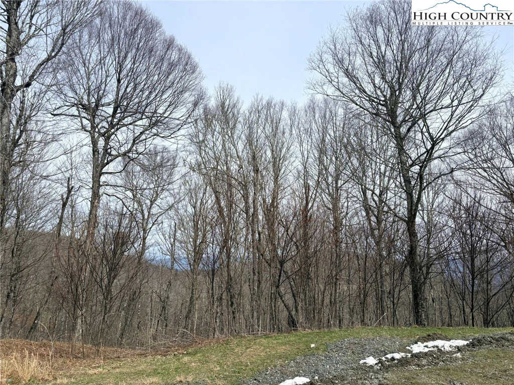 Image number 3 for the current listing