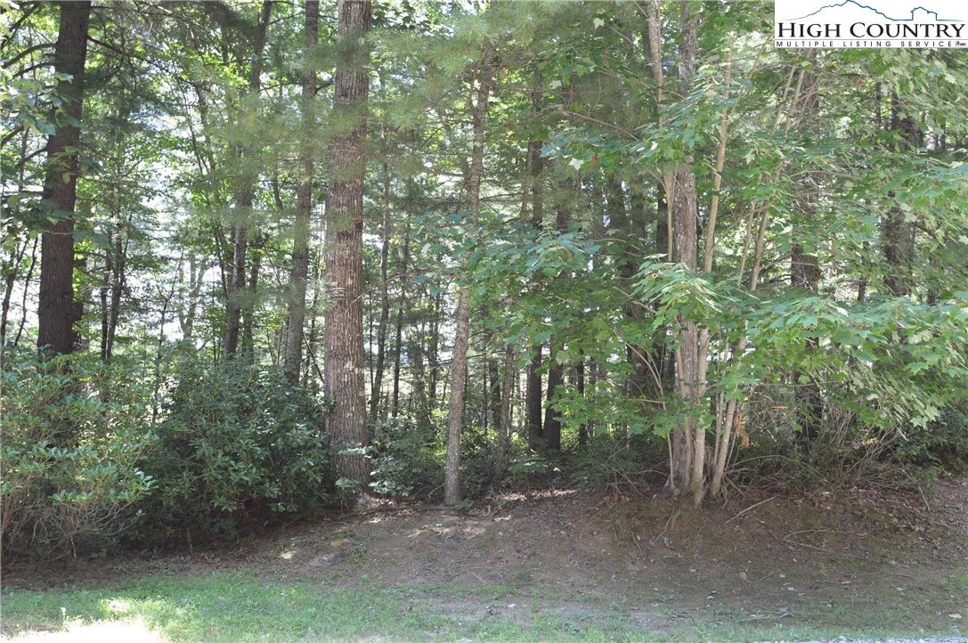 Image number 3 for the current listing