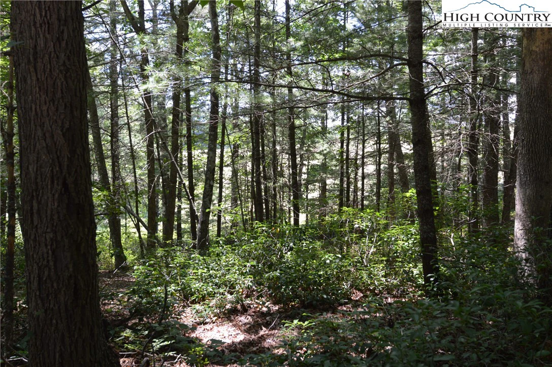 Image number 4 for the current listing