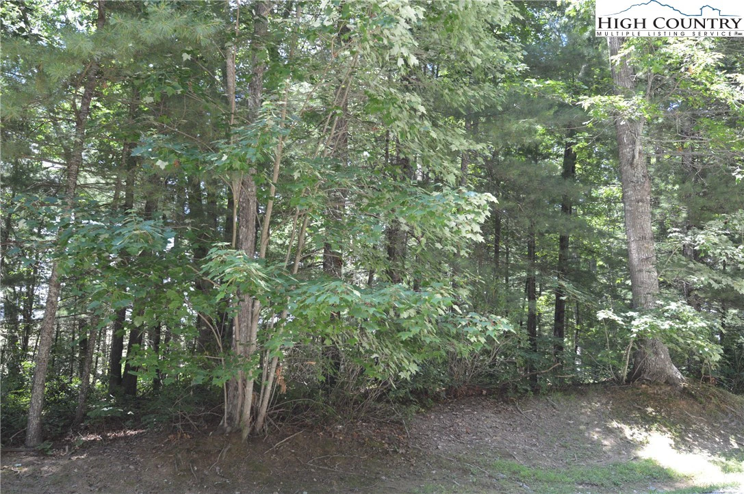 Image number 5 for the current listing