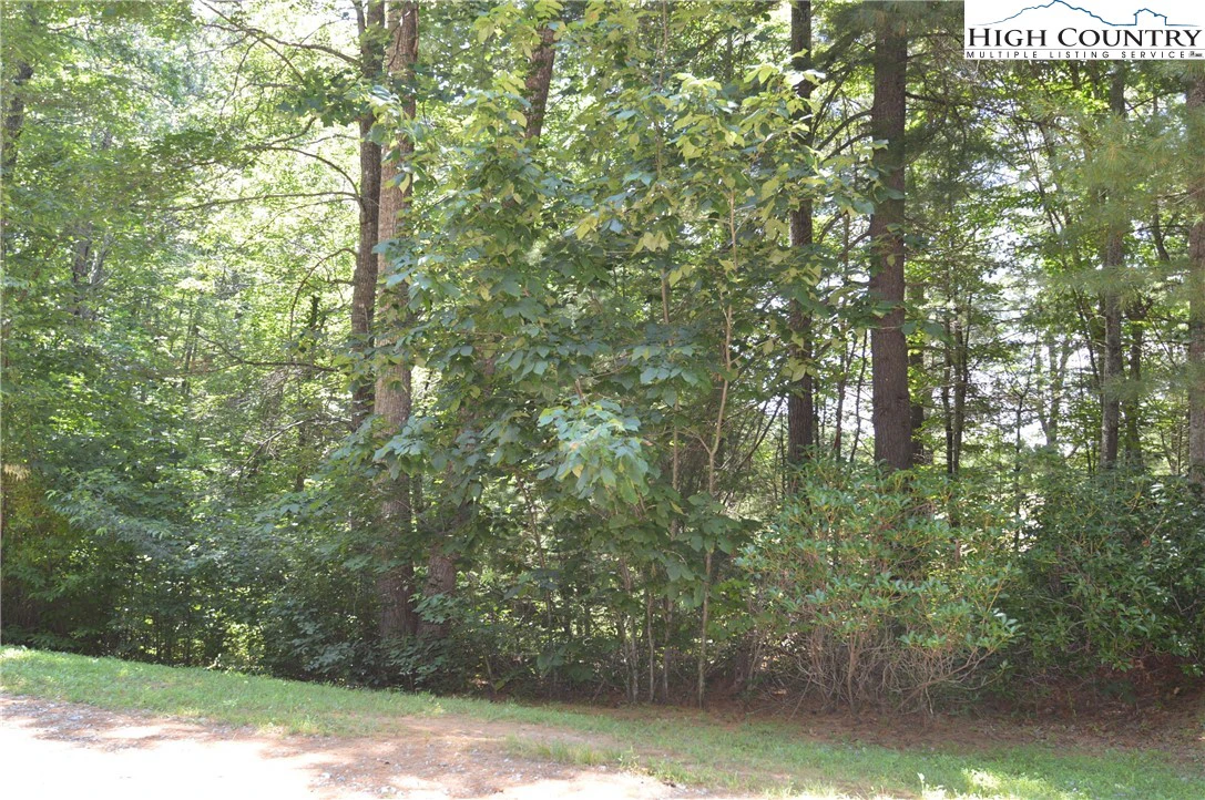 Image number 6 for the current listing