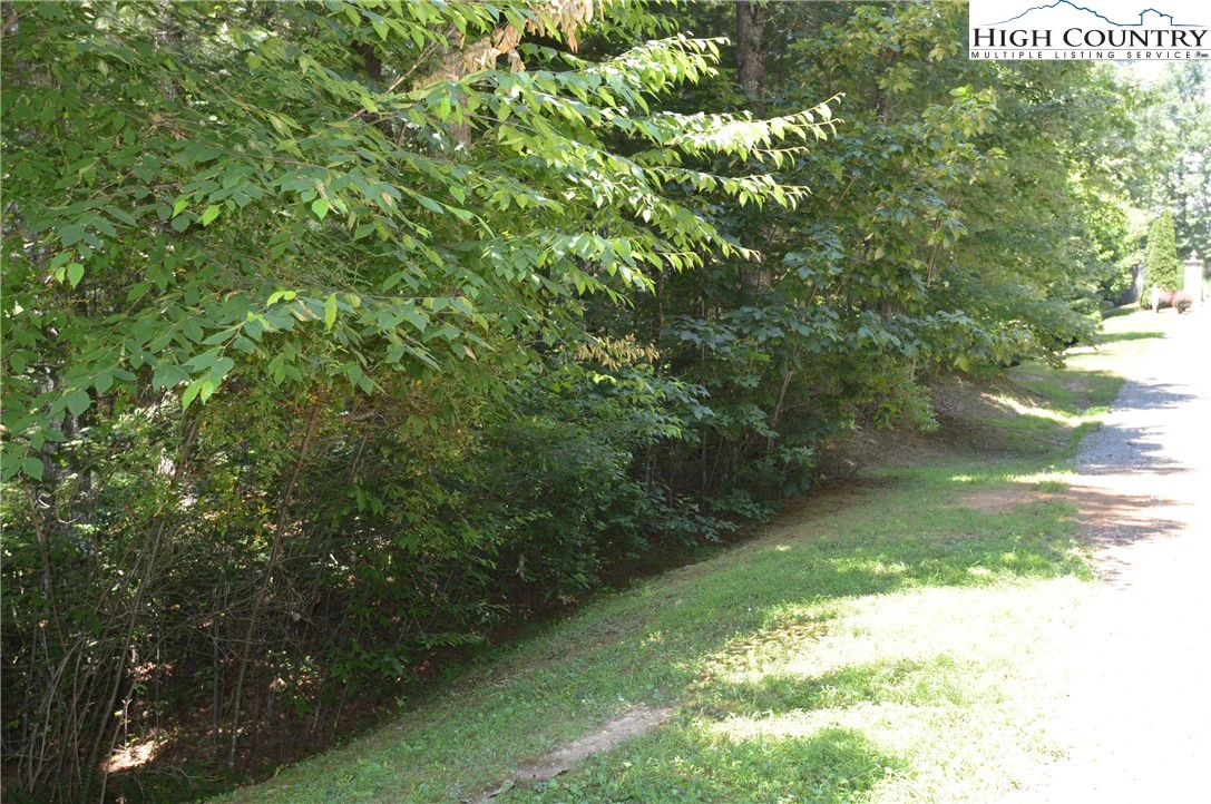 Image number 7 for the current listing