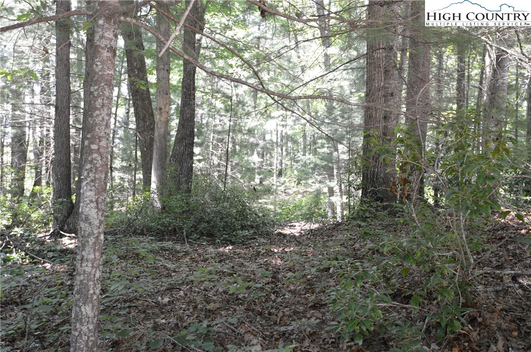 Image number 8 for the current listing