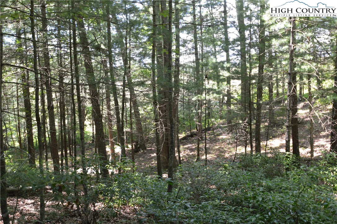 Image number 10 for the current listing