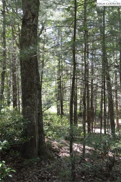 Image number 11 for the current listing