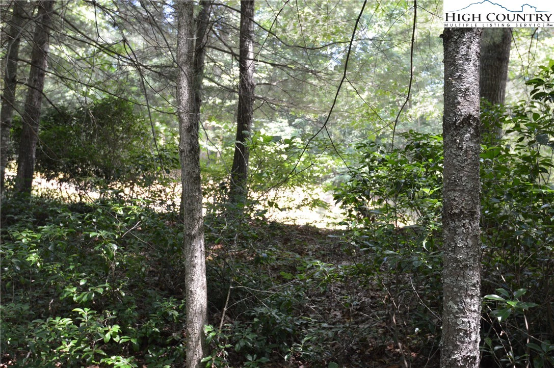 Image number 2 for the current listing