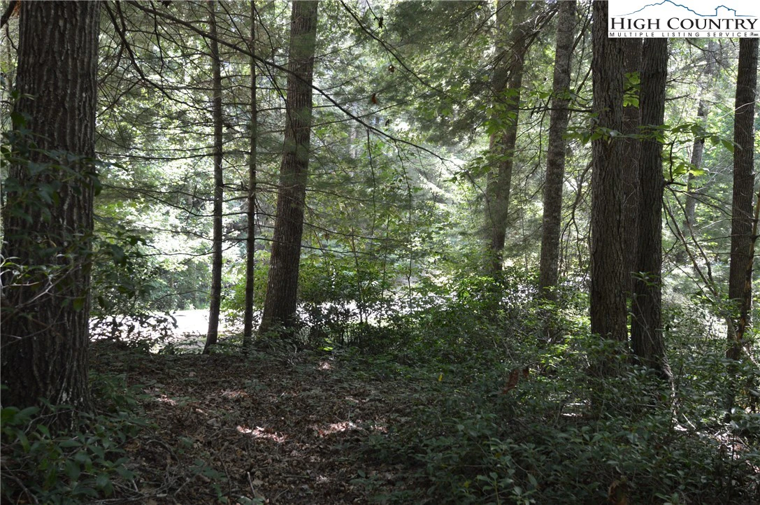Image number 12 for the current listing