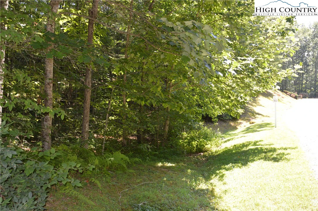 Image number 13 for the current listing