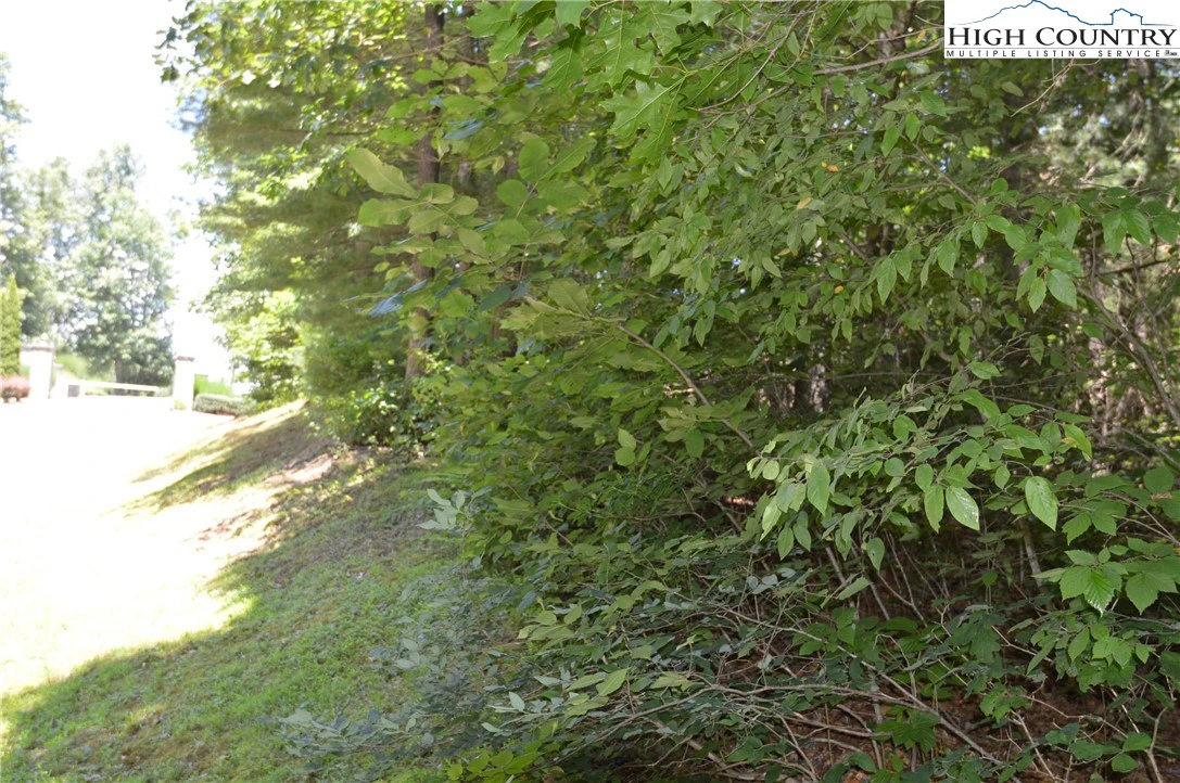 Image number 14 for the current listing