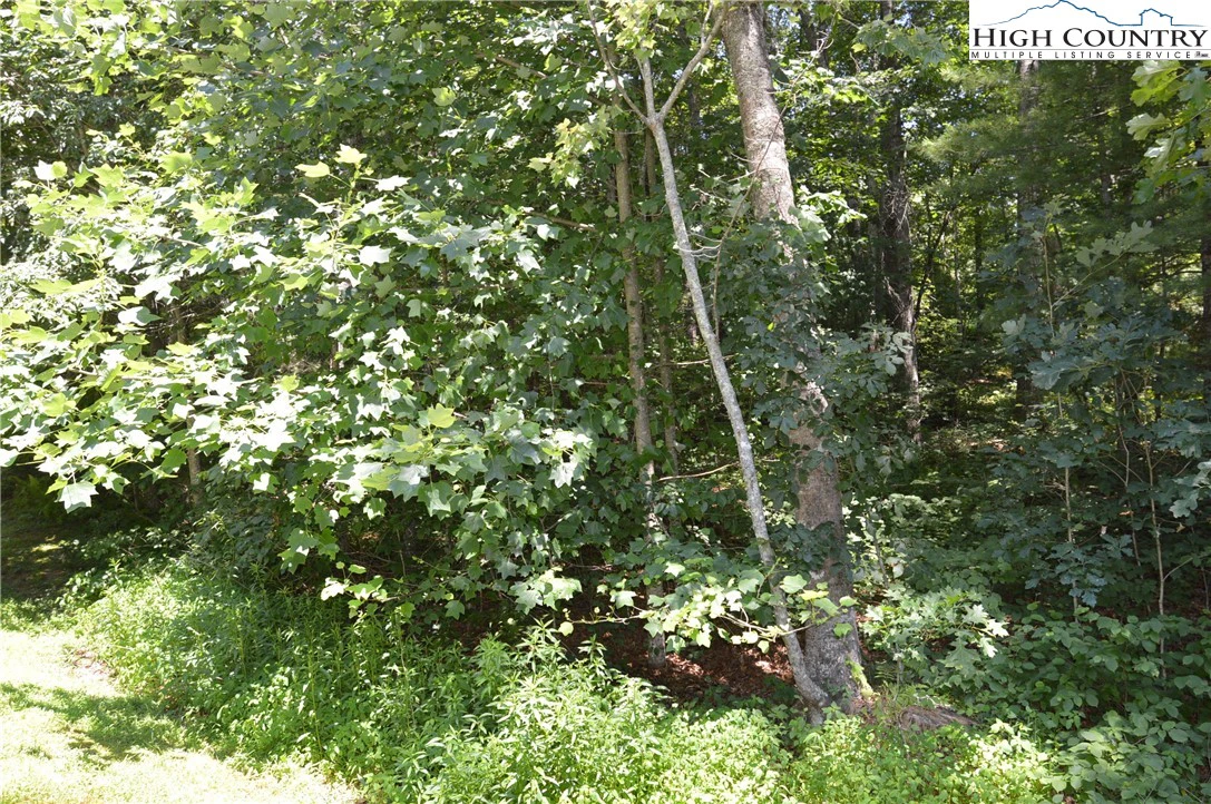 Image number 16 for the current listing