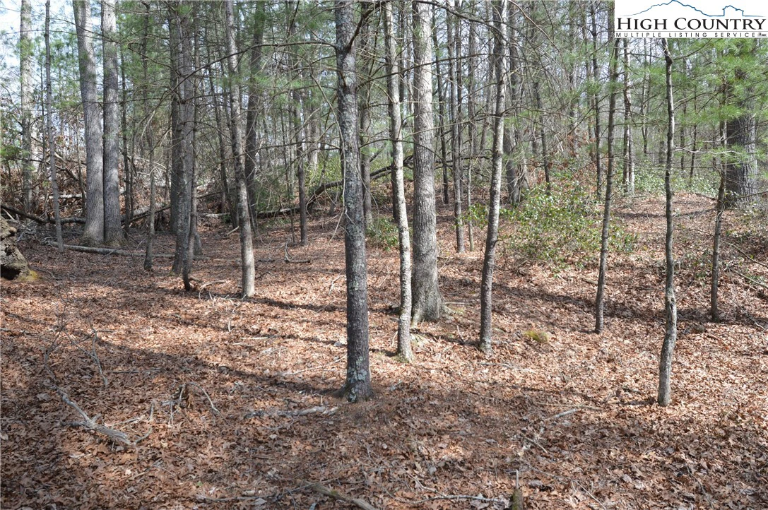 Image number 1 for the current listing