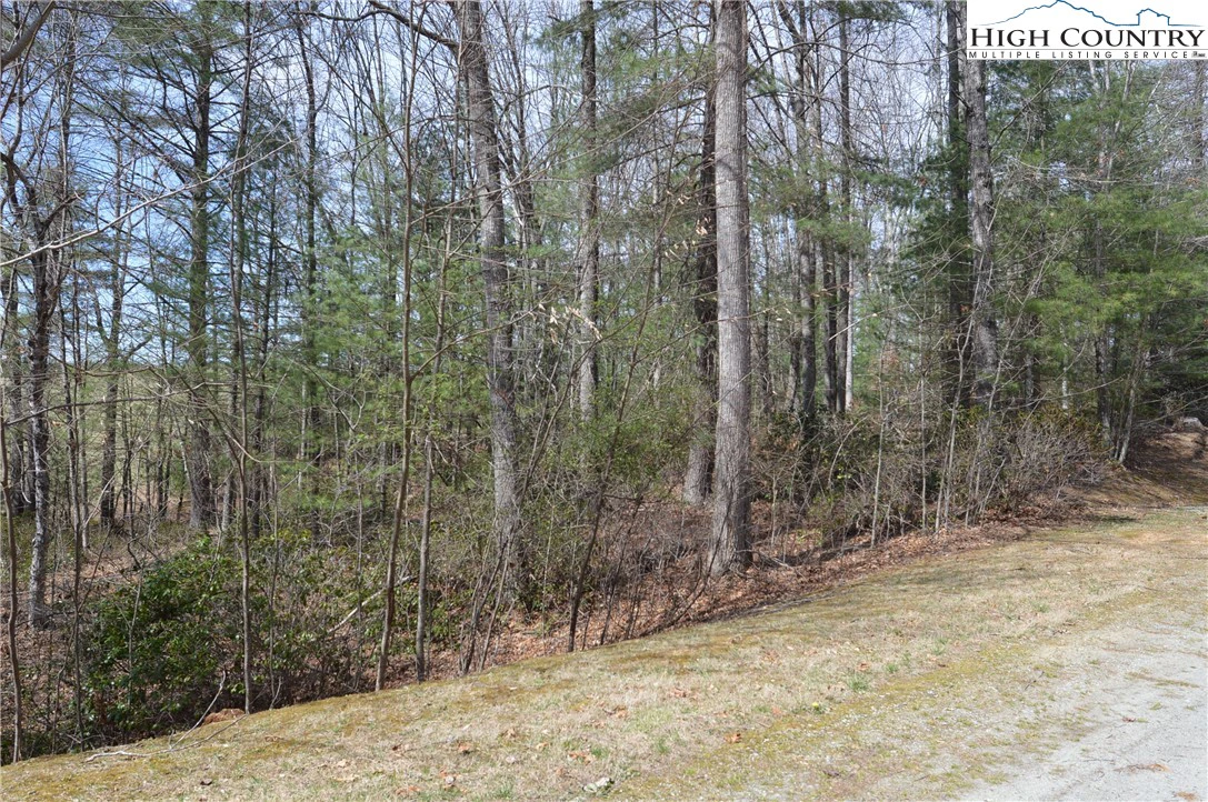 Image number 11 for the current listing