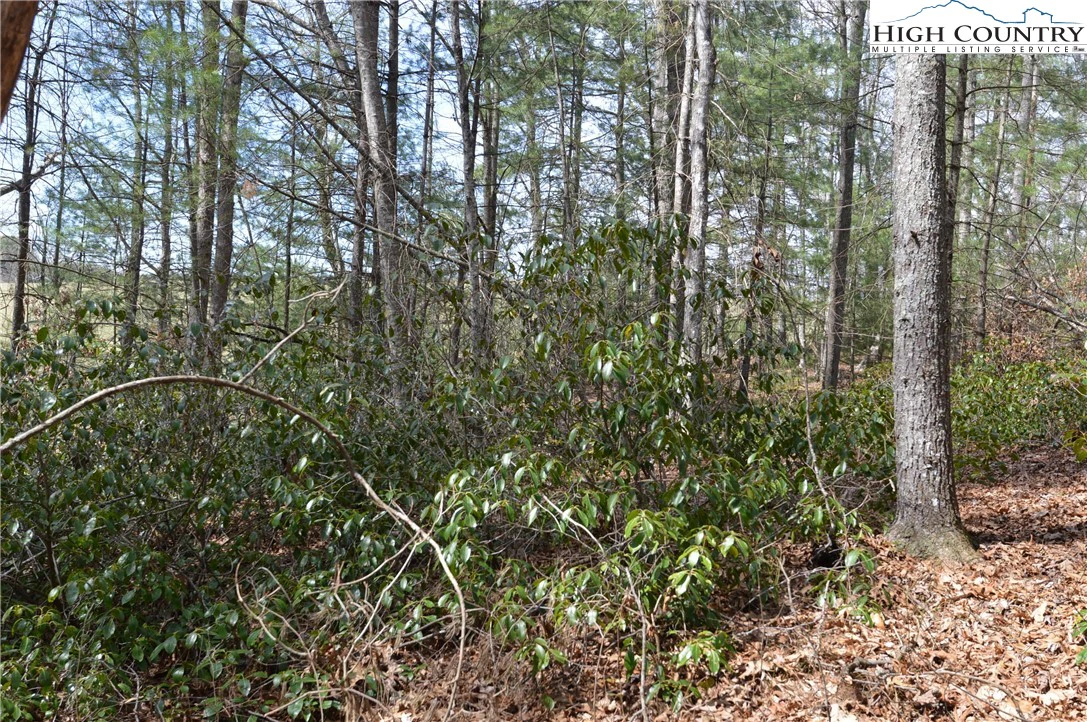 Image number 3 for the current listing