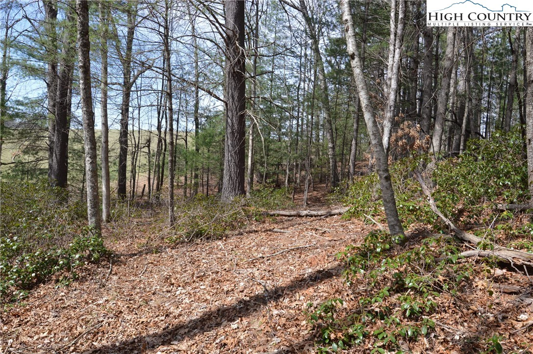 Image number 5 for the current listing