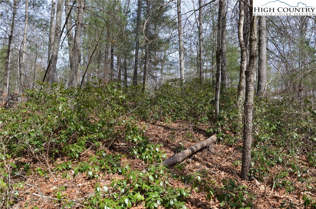 Image number 6 for the current listing