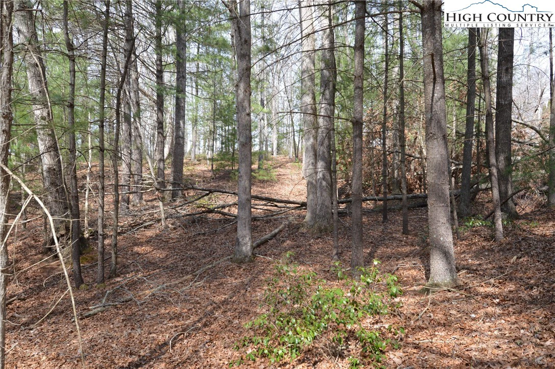 Image number 7 for the current listing