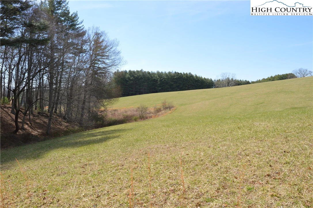 Image number 8 for the current listing