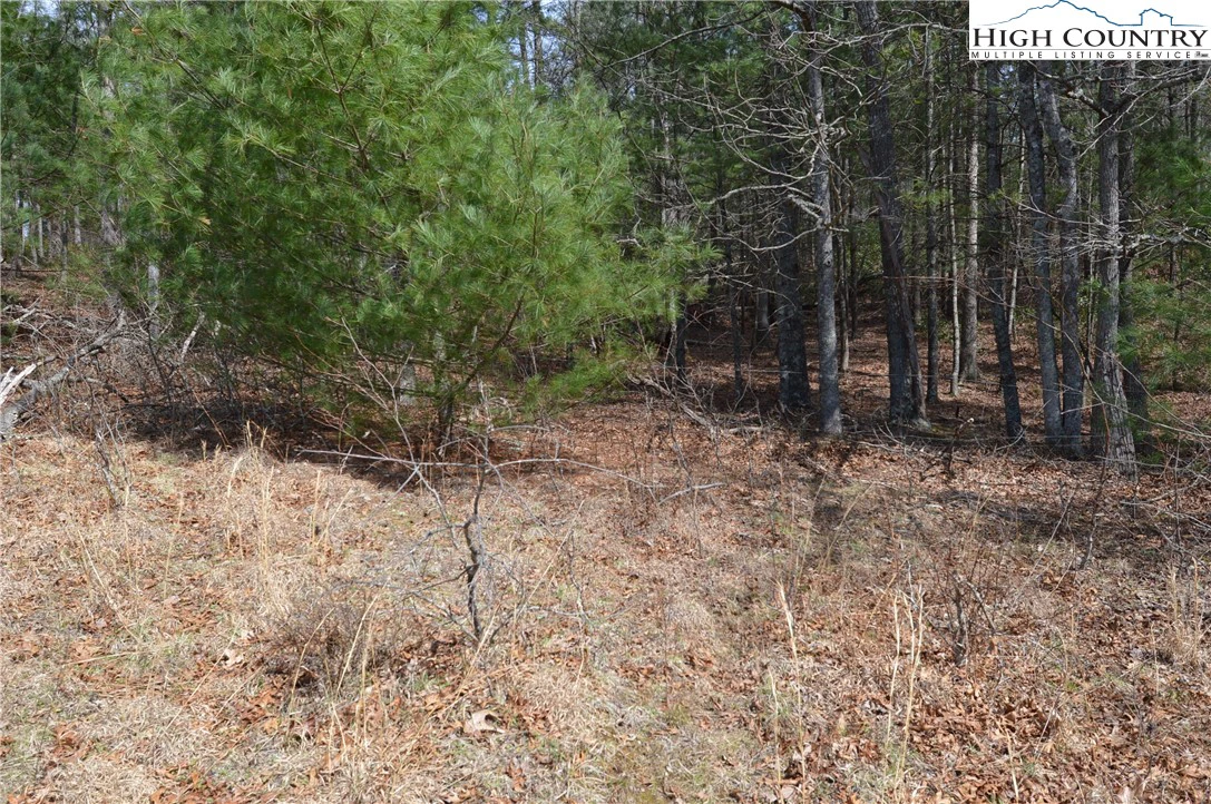 Image number 9 for the current listing