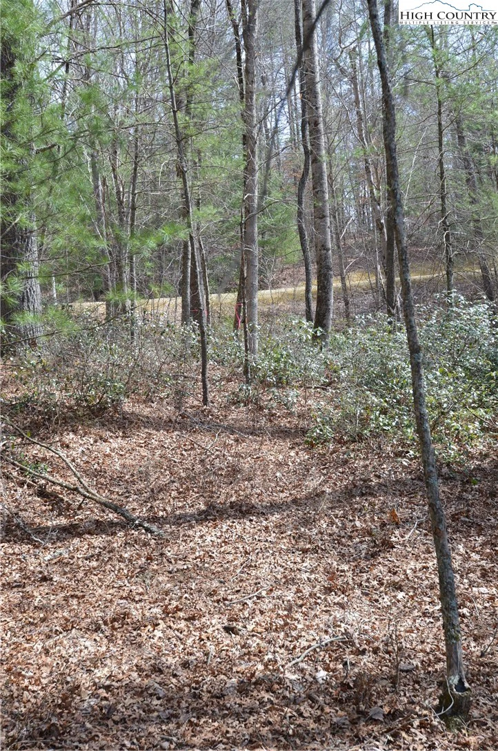 Image number 2 for the current listing