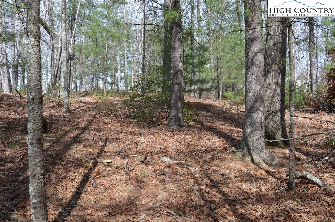 Image number 12 for the current listing